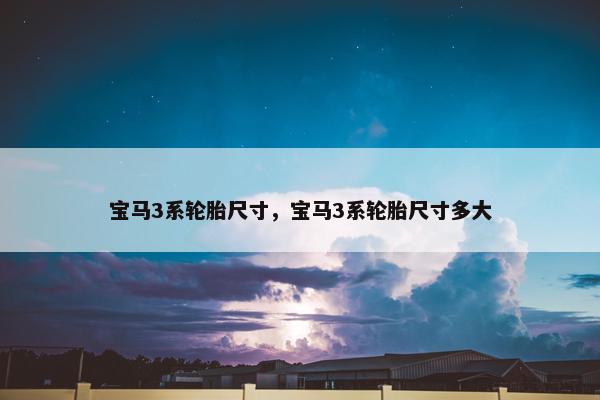 宝马3系轮胎尺寸，宝马3系轮胎尺寸多大