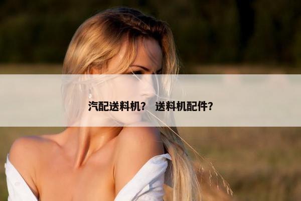 汽配送料机？ 送料机配件？