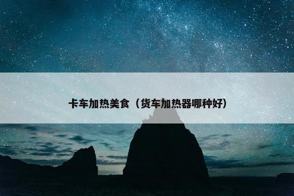 卡车加热美食（货车加热器哪种好）