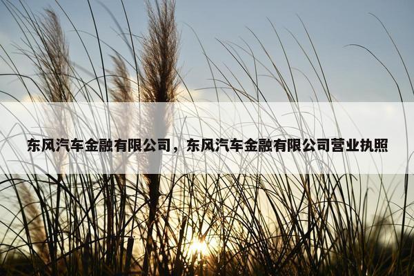 东风汽车金融有限公司，东风汽车金融有限公司营业执照