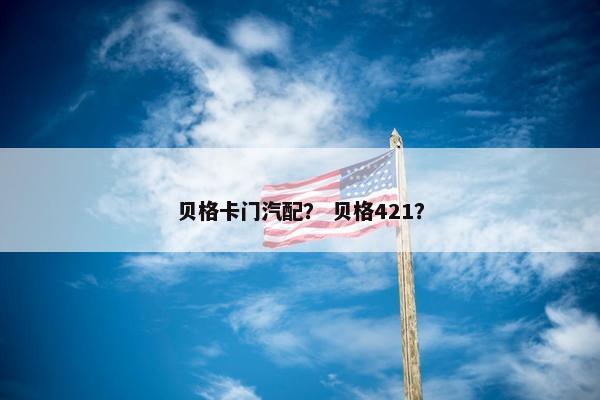 贝格卡门汽配？ 贝格421？