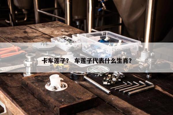 卡车莲子？ 车莲子代表什么生肖？