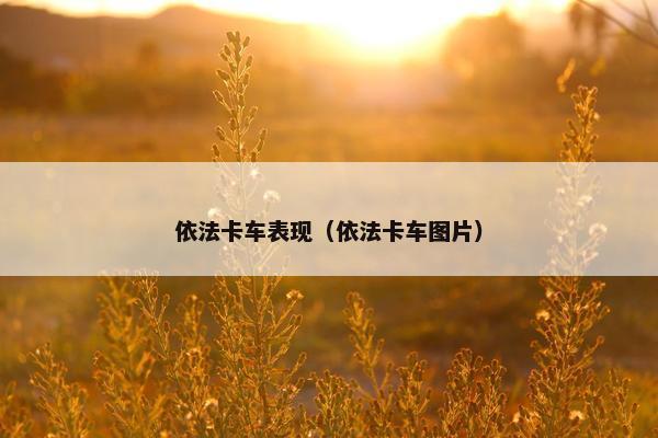 依法卡车表现（依法卡车图片）