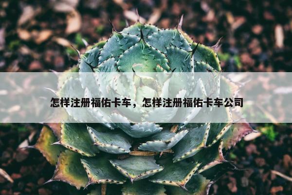 怎样注册福佑卡车，怎样注册福佑卡车公司
