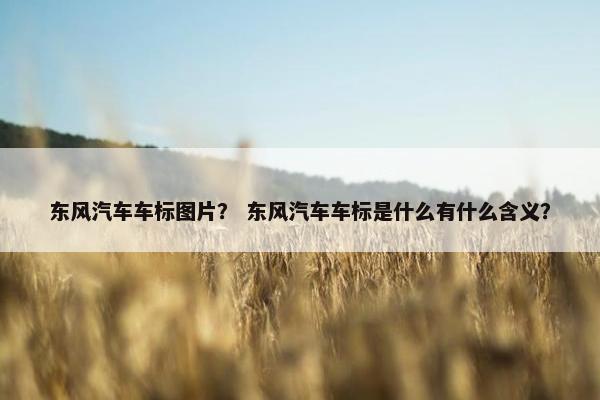 东风汽车车标图片？ 东风汽车车标是什么有什么含义？