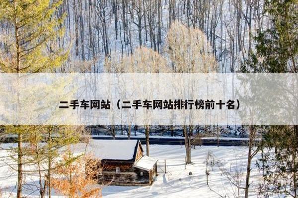 二手车网站（二手车网站排行榜前十名）
