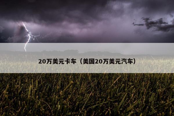 20万美元卡车（美国20万美元汽车）