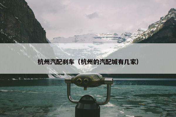 杭州汽配刹车（杭州的汽配城有几家）