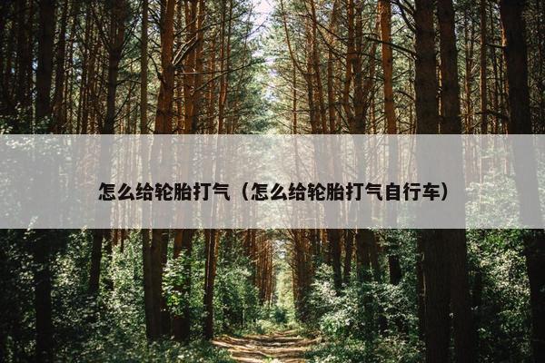 怎么给轮胎打气（怎么给轮胎打气自行车）