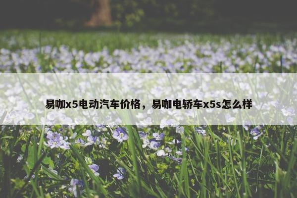 易咖x5电动汽车价格，易咖电轿车x5s怎么样