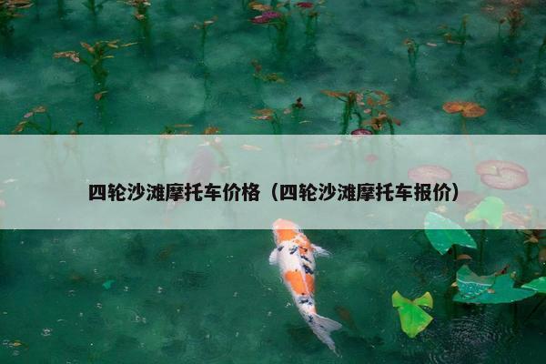 四轮沙滩摩托车价格（四轮沙滩摩托车报价）