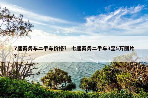 7座商务车二手车价格？ 七座商务二手车3至5万图片？