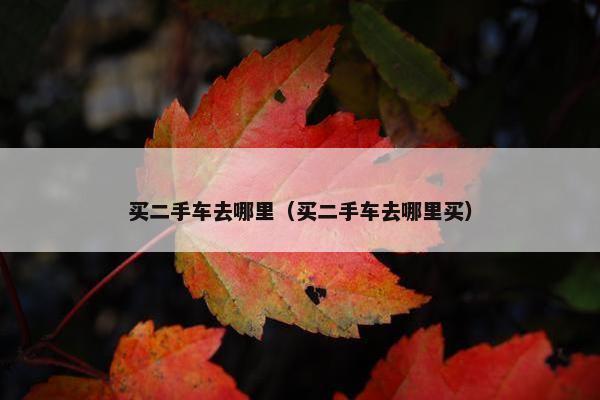 买二手车去哪里（买二手车去哪里买）