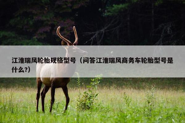 江淮瑞风轮胎规格型号（问答江淮瑞风商务车轮胎型号是什么?）