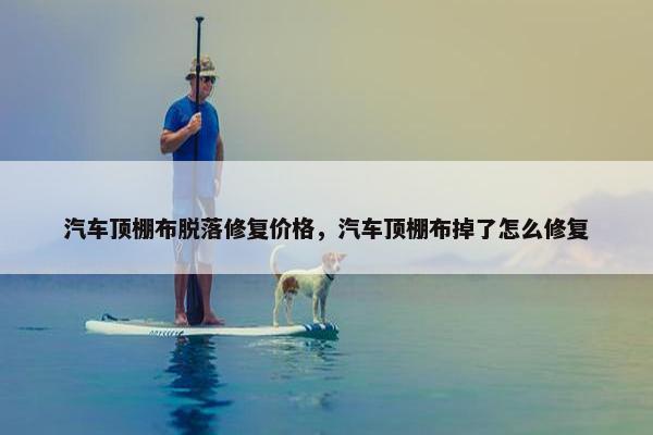 汽车顶棚布脱落修复价格，汽车顶棚布掉了怎么修复