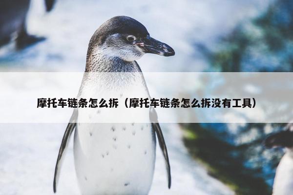 摩托车链条怎么拆（摩托车链条怎么拆没有工具）