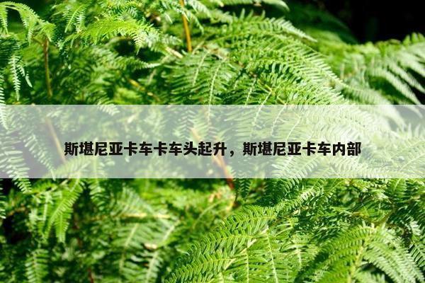 斯堪尼亚卡车卡车头起升，斯堪尼亚卡车内部