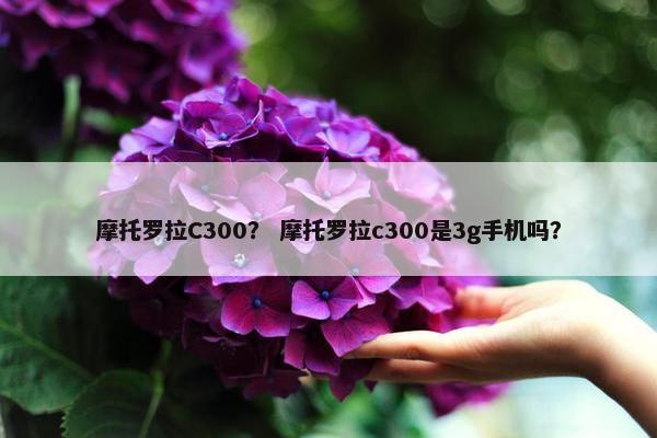 摩托罗拉C300？ 摩托罗拉c300是3g手机吗？