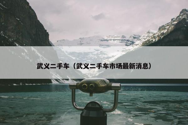 武义二手车（武义二手车市场最新消息）