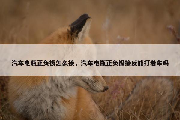 汽车电瓶正负极怎么接，汽车电瓶正负极接反能打着车吗