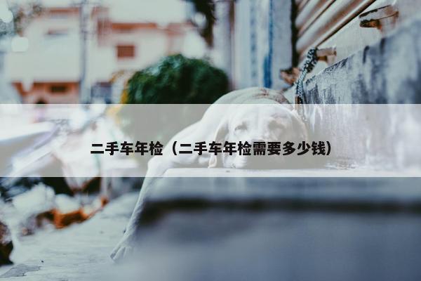 二手车年检（二手车年检需要多少钱）