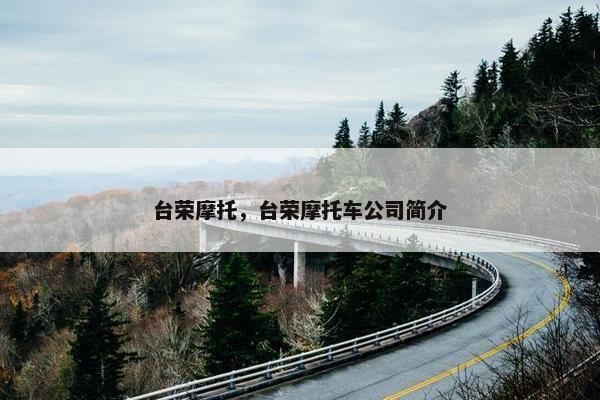 台荣摩托，台荣摩托车公司简介