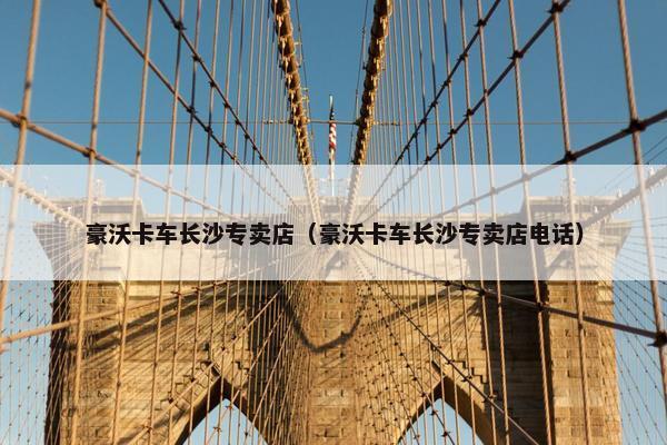豪沃卡车长沙专卖店（豪沃卡车长沙专卖店电话）