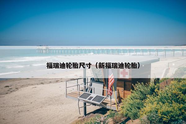 福瑞迪轮胎尺寸（新福瑞迪轮胎）