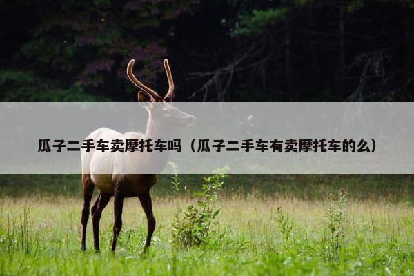 瓜子二手车卖摩托车吗（瓜子二手车有卖摩托车的么）