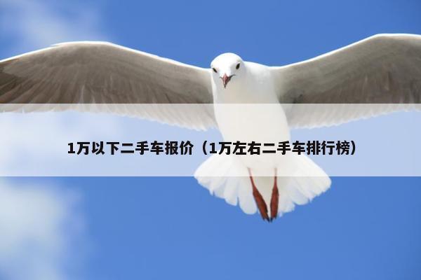 1万以下二手车报价（1万左右二手车排行榜）