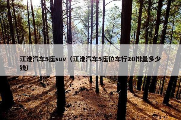 江淮汽车5座suv（江淮汽车5座位车行20排量多少钱）