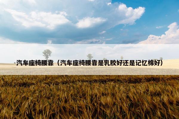 汽车座椅腰靠（汽车座椅腰靠是乳胶好还是记忆棉好）