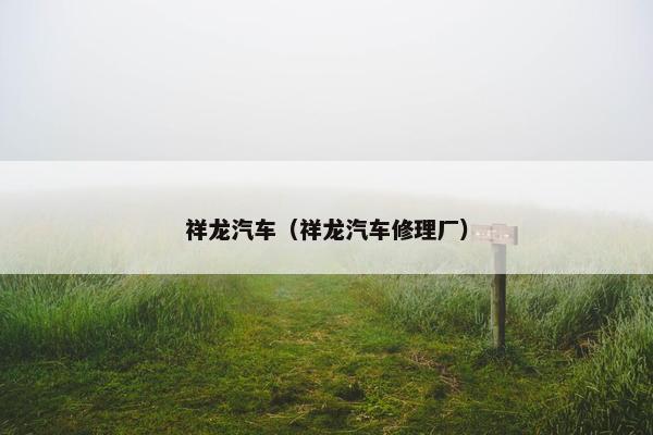 祥龙汽车（祥龙汽车修理厂）