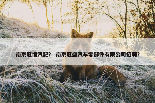 南京冠恒汽配？ 南京冠盛汽车零部件有限公司招聘？