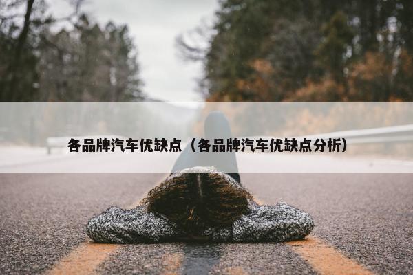 各品牌汽车优缺点（各品牌汽车优缺点分析）