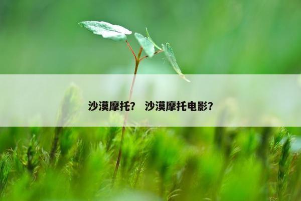 沙漠摩托？ 沙漠摩托电影？