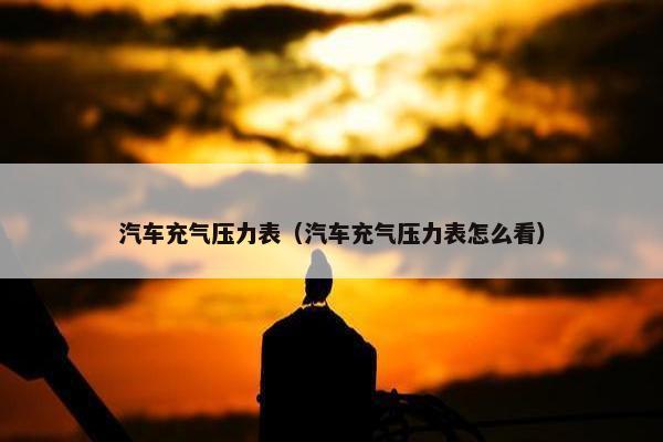 汽车充气压力表（汽车充气压力表怎么看）