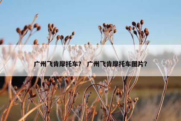 广州飞肯摩托车？ 广州飞肯摩托车图片？