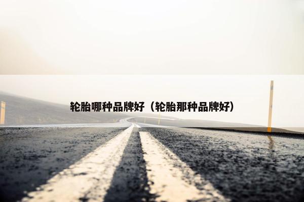 轮胎哪种品牌好（轮胎那种品牌好）