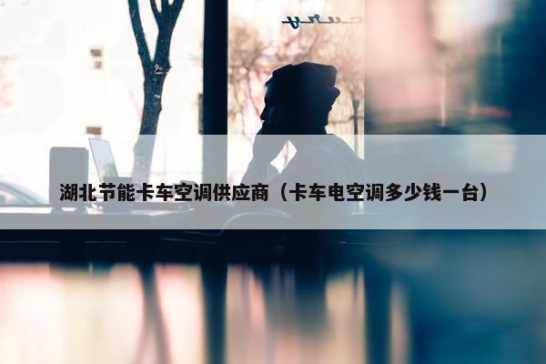湖北节能卡车空调供应商（卡车电空调多少钱一台）
