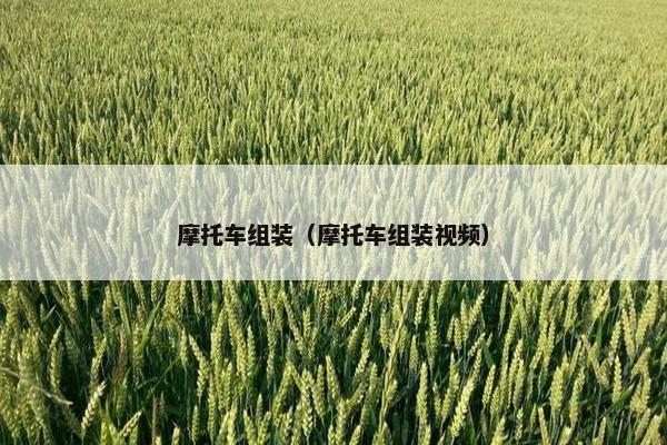 摩托车组装（摩托车组装视频）