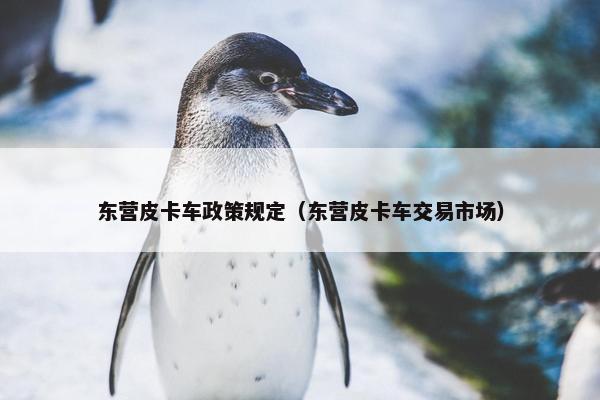 东营皮卡车政策规定（东营皮卡车交易市场）