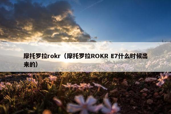 摩托罗拉rokr（摩托罗拉ROKR E7什么时候出来的）