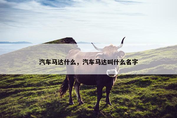 汽车马达什么，汽车马达叫什么名字