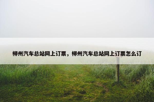 柳州汽车总站网上订票，柳州汽车总站网上订票怎么订