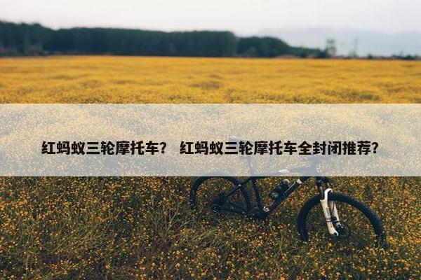红蚂蚁三轮摩托车？ 红蚂蚁三轮摩托车全封闭推荐？
