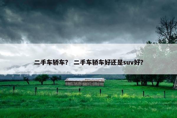 二手车轿车？ 二手车轿车好还是suv好？