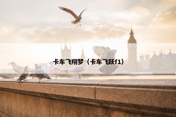 卡车飞翔梦（卡车飞跃f1）