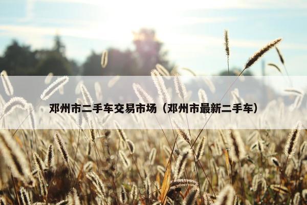 邓州市二手车交易市场（邓州市最新二手车）