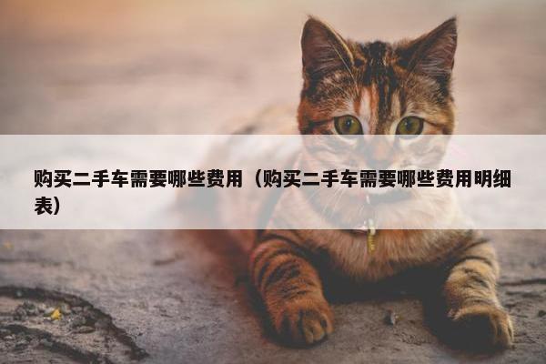 购买二手车需要哪些费用（购买二手车需要哪些费用明细表）